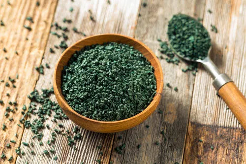 Algae