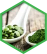 Chlorella for colon health