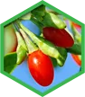 Organic Goji