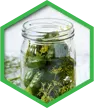 Probiotics for colon health