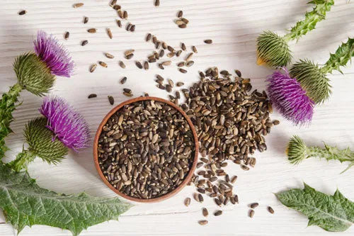 Milk Thistle seed