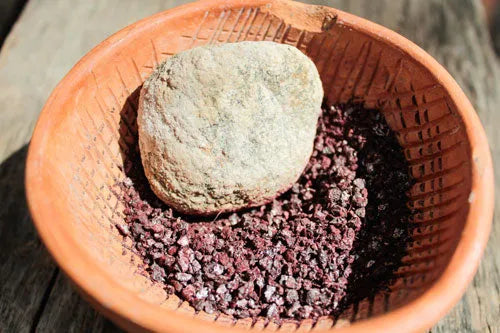 Nopal Powder for IBS