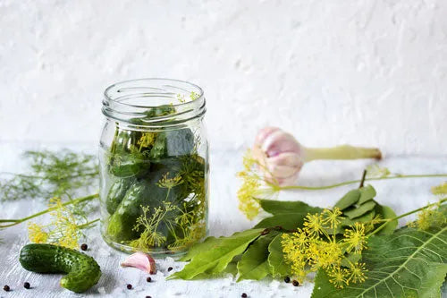 Plant Probiotics for colon health